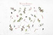 Winter Berries Christmas Watercolour, a Decorative Illustration by whiteheartdesign (Thumbnail 9 of 14)