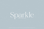 Shoreline - Elegant & Classic Serif, a Serif Font by Misha Sova (Thumbnail 2 of 8)