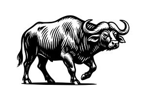 vector of an african buffalo. Animal, an Animal Illustration by yod67