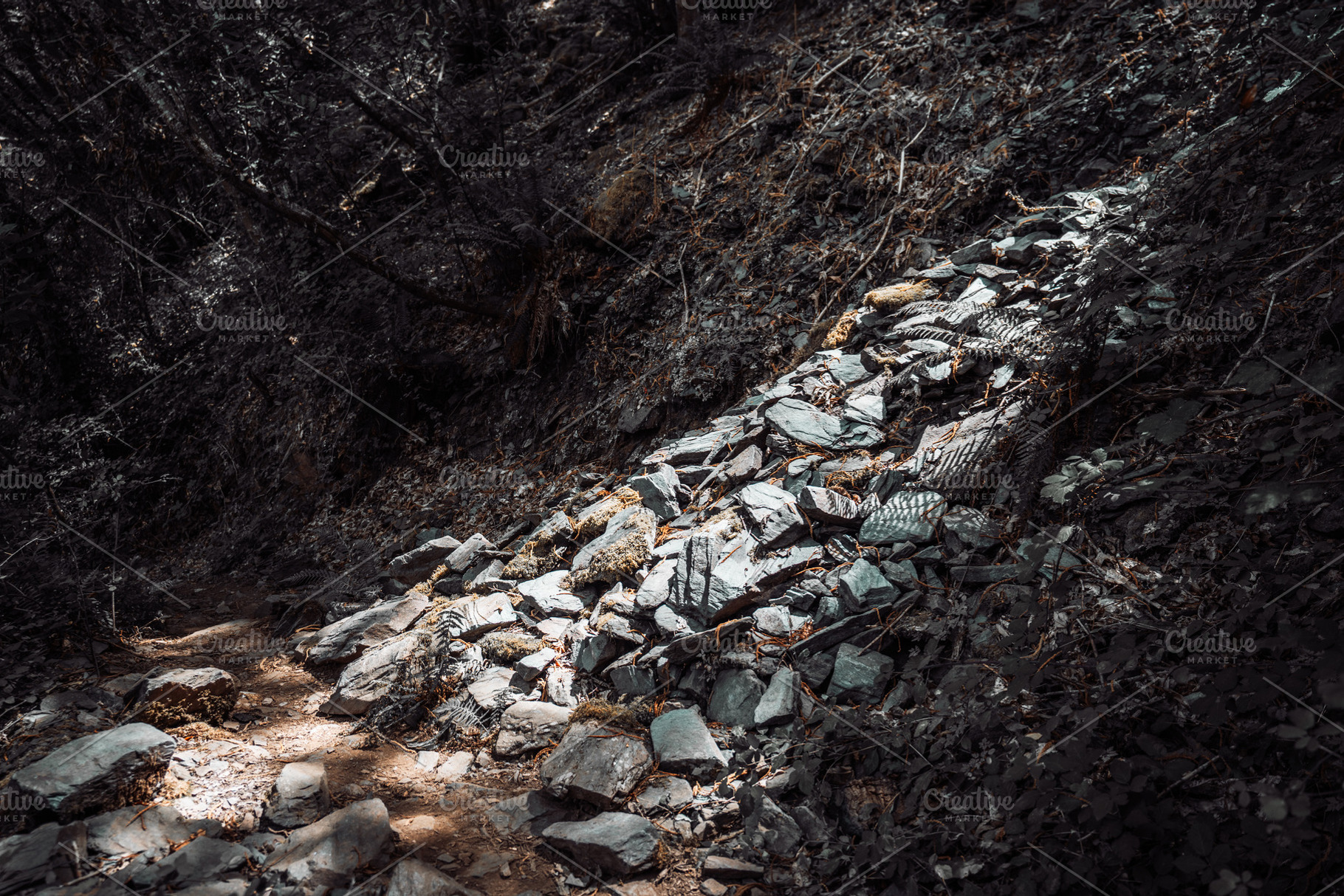 Slate rocks on forest path, a Nature Photo by SkyNext