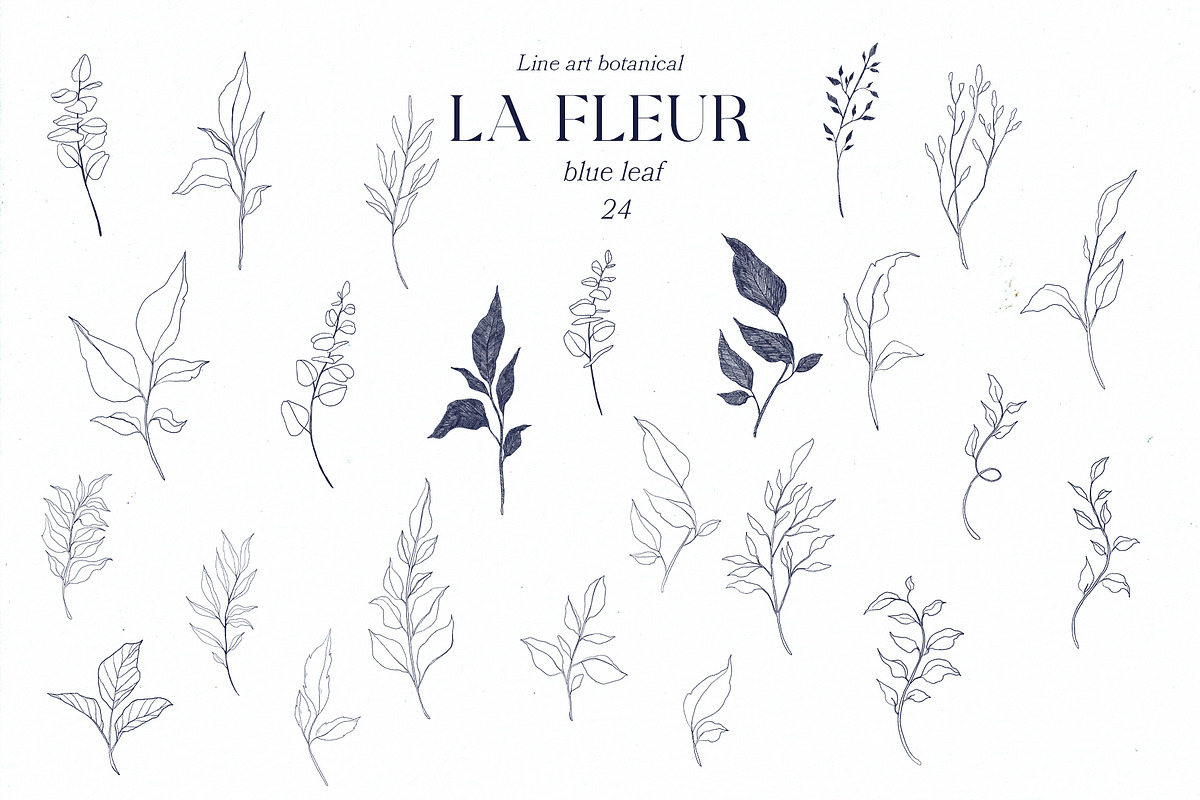 La Fleur. Contemporary line art.