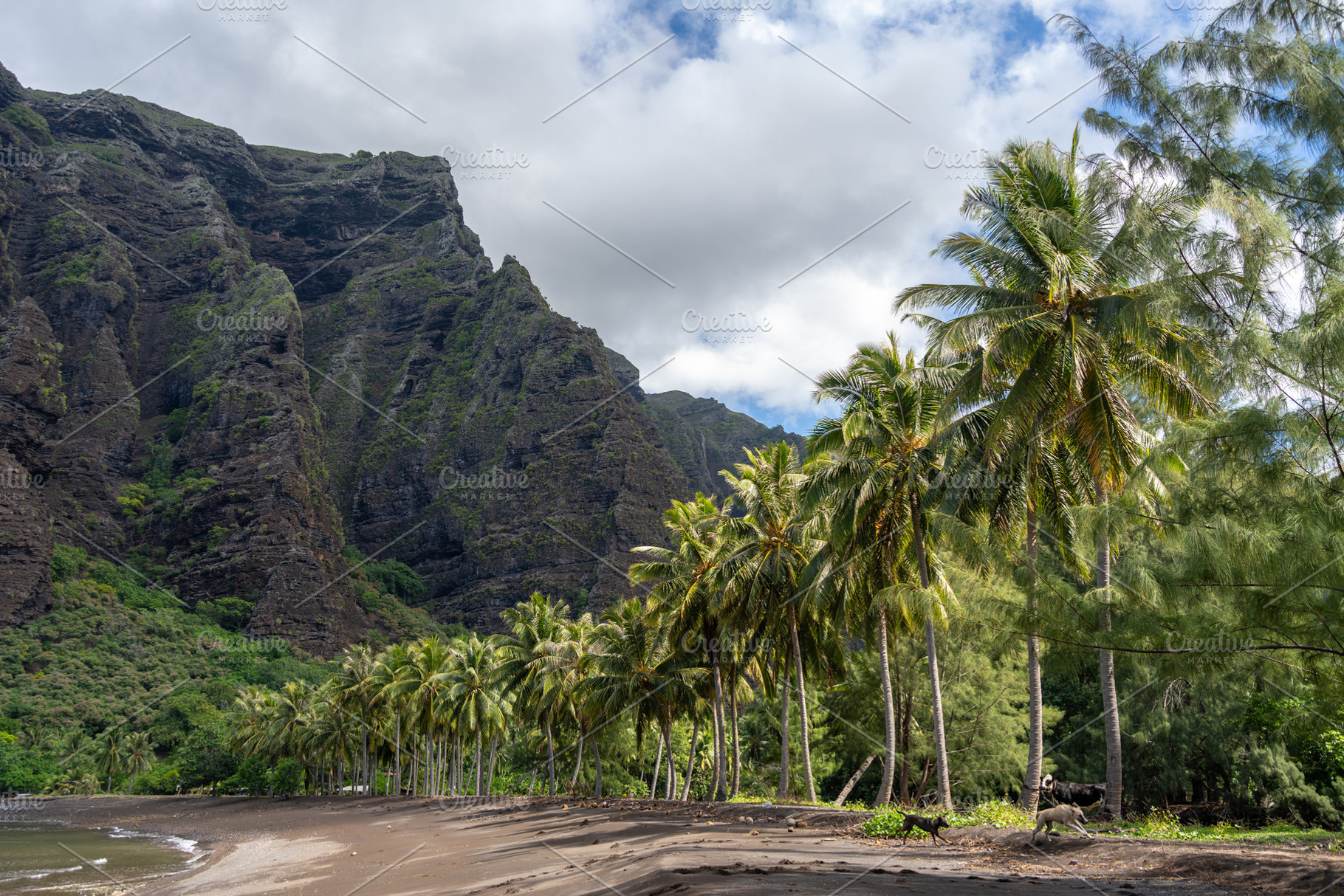 Remote beach in Hakaui Bay, Nuku Hiva, Marquesas Islands, French, a Photo by GoodGoods