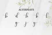 Someday | Script Font, a Handwritten Font by Scratchones (Thumbnail 8 of 9)