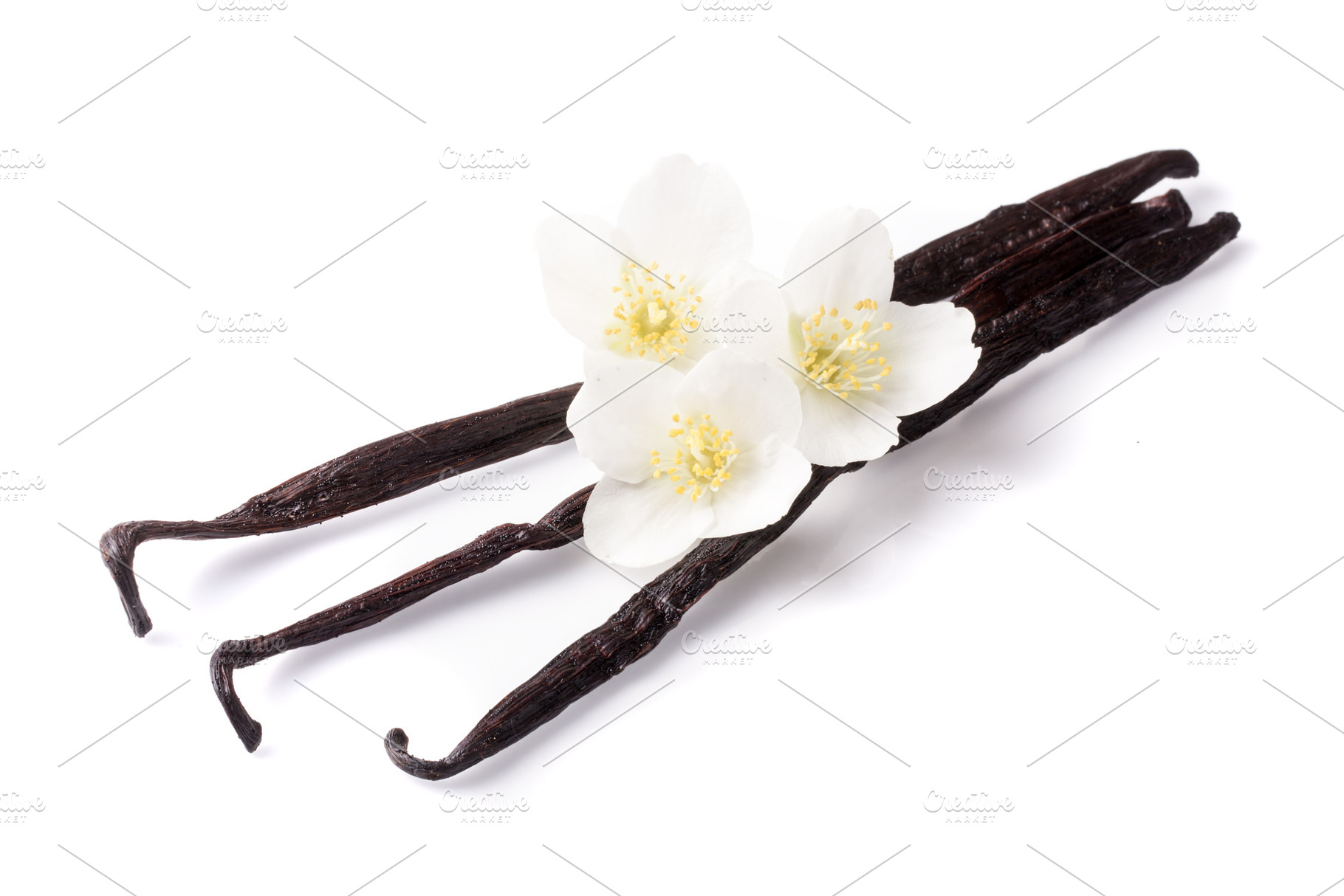 Vanilla sticks with flower isolated featuring spice, stick, and vanilla, a Food & Drink Photo by NataPhoto