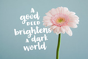Butterbell & Toast Textured Font Duo, a Script Font by Rachel White Art (Thumbnail 13 of 15)