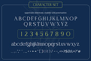 Erendela Stylish Serif Font, a Font by Vadovastd (Thumbnail 2 of 7)
