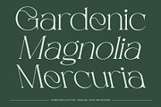 CS Sage – Art Nouveau Font, a Serif Font by Craft Supply Co. (Thumbnail 3 of 8)
