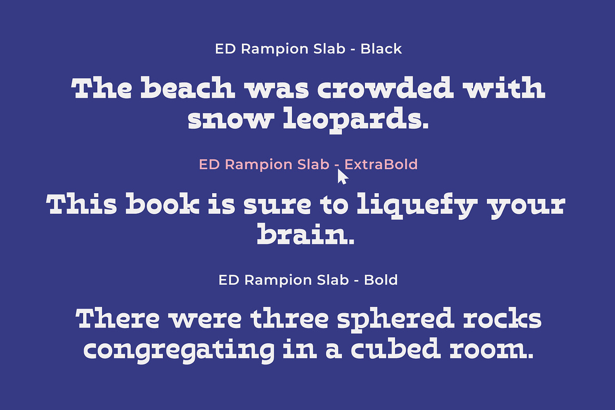 ED Rampion Slab, a Slab Serif Font by Emyself Design (Photo 5 of 12)