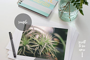 Flat Print Mockup #1, a Mockup by Tina Crespo (Thumbnail 2 of 2)