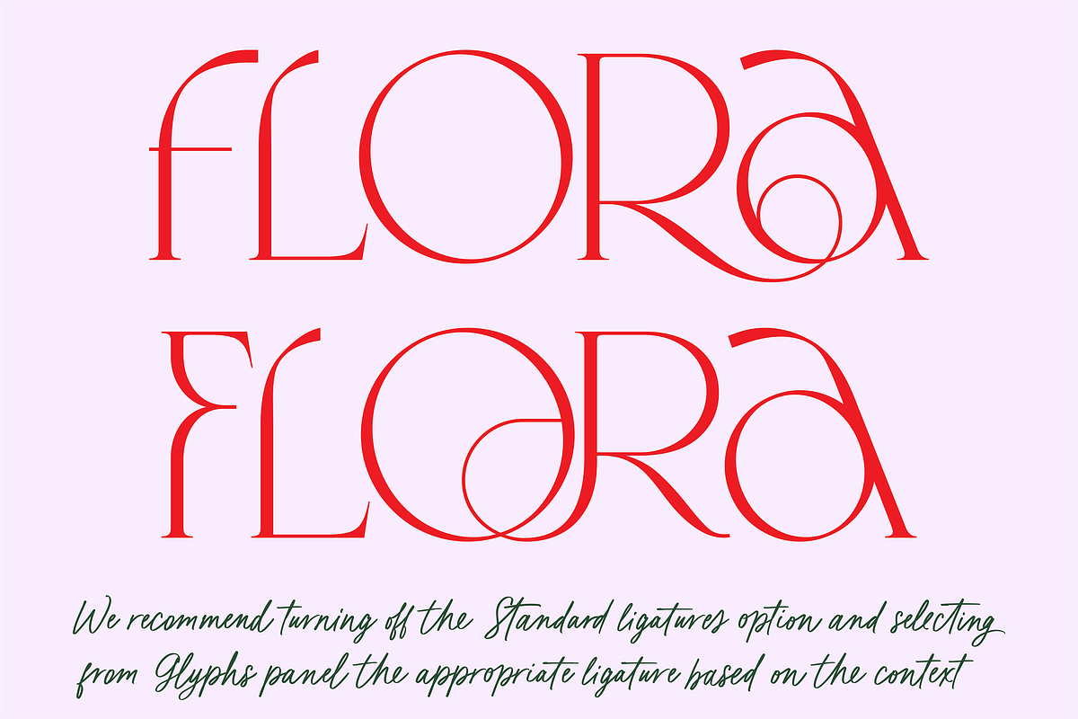 Karme // Modern Font Duo, a Serif Font by PeachCreme (Photo 2 of 13)