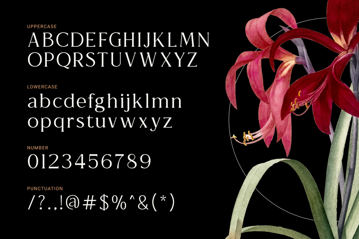 Astranala Modern Elegant Serif Font, a Serif Font by Vadovastd (Photo 2 of 7)