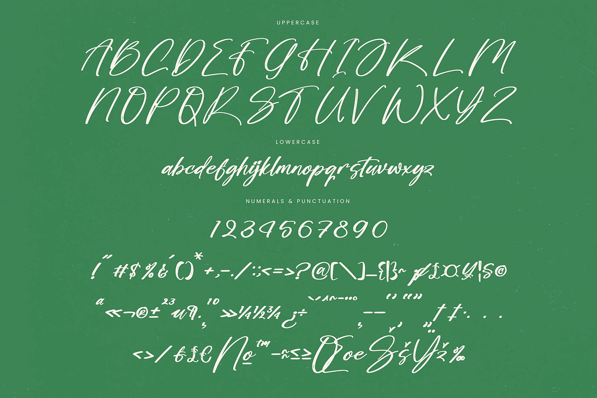 Bombyes Shigter Bold Brush Font, a Script Font by stylishtype.co (Photo 18 of 20)