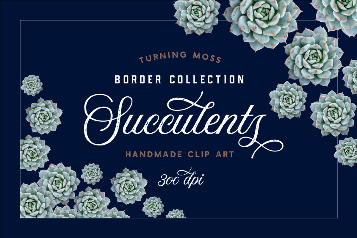 Succulent Borders - Botanic ClipArt, an Object Graphic by Turning Moss (Photo 1 of 5)