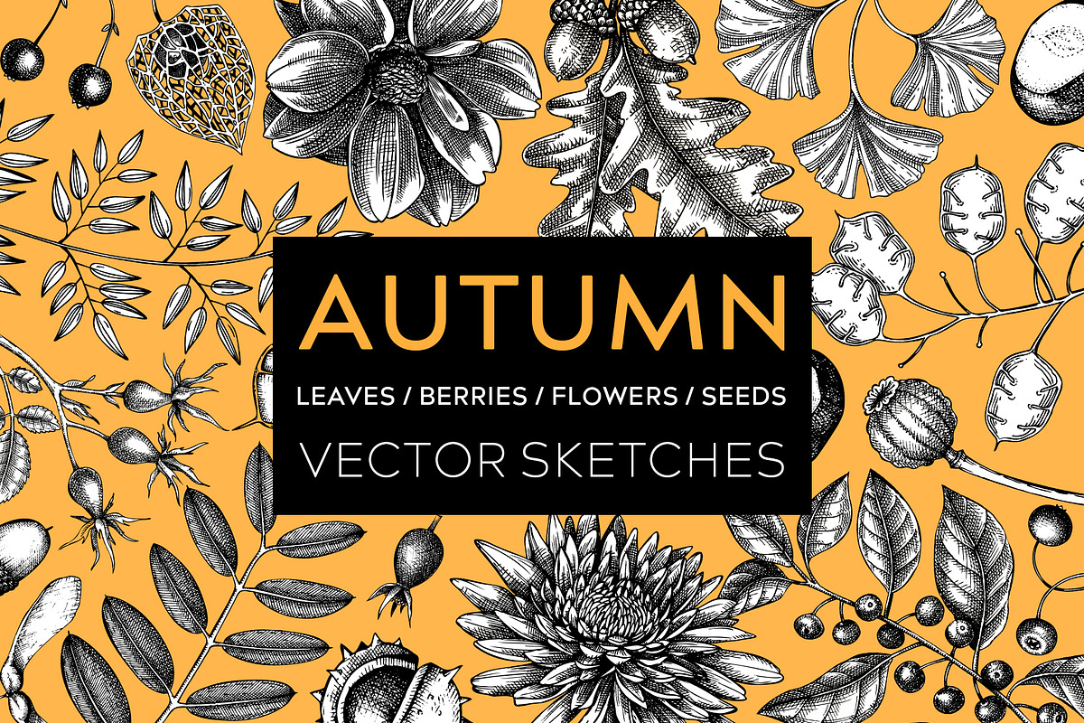 Autumn Leaves & Flowers. Fall Bundle, an Object Graphic by Yevheniia (Photo 1 of 11)