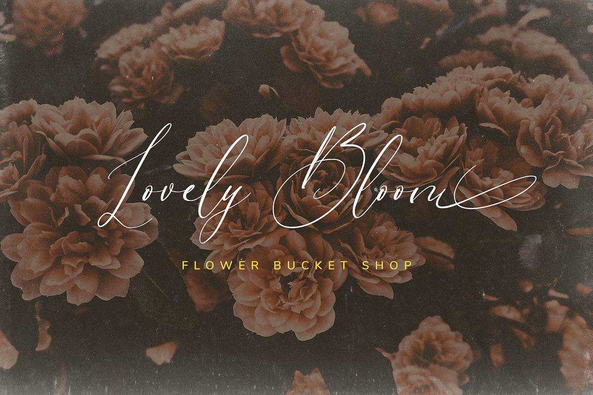 Brown Amsonia, a Script Font by Nathatype (Photo 3 of 10)