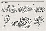 Set of water lilies and flowers PNG, a Decorative Illustration by LOKSKIH (Thumbnail 8 of 10)