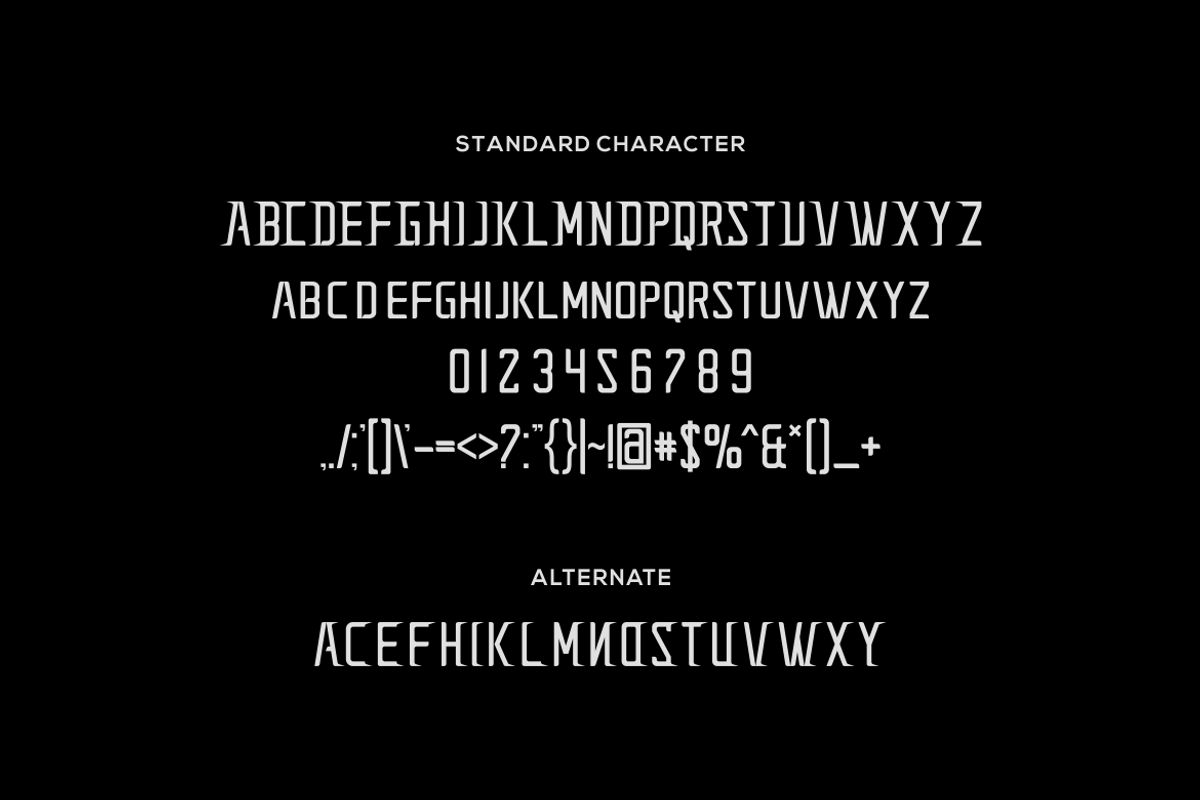 Aghenda Font, a Sans Serif Font by albert_kalingga (Photo 4 of 5)