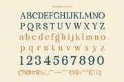 Vintage Odities - Retro Serif, a Serif Font by Qweera Studio (Thumbnail 12 of 12)