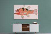 Vintage Fish Illustrations, a Food Illustration by BlackBird Foundry (Thumbnail 5 of 5)