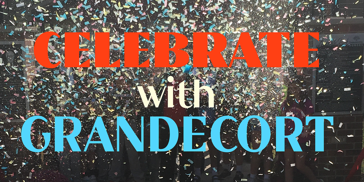 Grandecort, a Sans Serif Font by Ingrimayne Type (Photo 1 of 9)