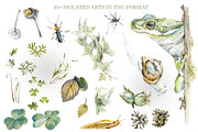 Watercolor Forest Sketches, an Object Graphic by Budogoshch (Thumbnail 3 of 5)