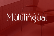 Meridian Premium Serif Font, a Serif Font by Artiveko (Thumbnail 10 of 11)