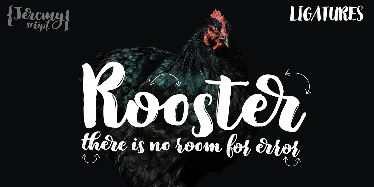 Jeremy, a Script Font by GRIN3 (Nowak) (Photo 2 of 5)