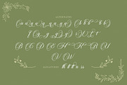 Carista Calligraphy, a Script Font by Pista Mova (Thumbnail 5 of 10)