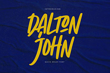 Dalton John – Quick Brush Font