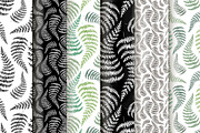 Fern. Line art sketch and patterns, a Decorative Illustration by Canatic (Thumbnail 2 of 6)