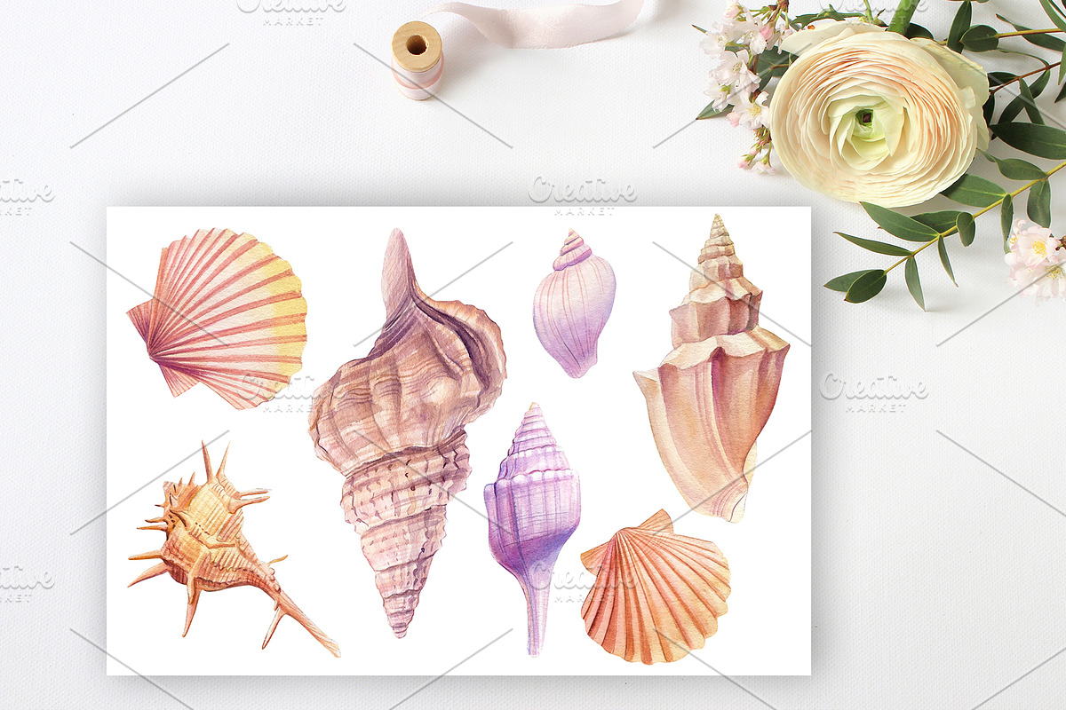 Watercolor starfish, shells, crabs, an Animal Illustration by Hanna Hryharenka (Photo 12 of 12)