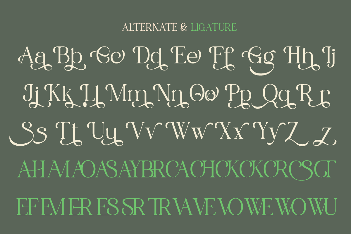 Rooyale - Minimal Modern Stylish, a Serif Font by Qweera Studio (Photo 11 of 12)