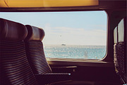 Garden Grove Lightroom Preset, a Preset Add-On by Lightroom Presets (Thumbnail 4 of 5)