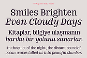 DT Augustina Slab 2 Subfamily, a Slab Serif Font by Deveze Type Foundry (Thumbnail 7 of 30)