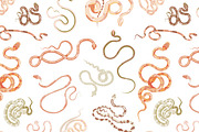 Snakes set and seamless, an Animal Illustration by Good Studio (Thumbnail 7 of 10)