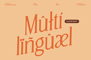 CS Allegory Drawn, a Serif Font by Craft Supply Co. (Thumbnail 6 of 8)