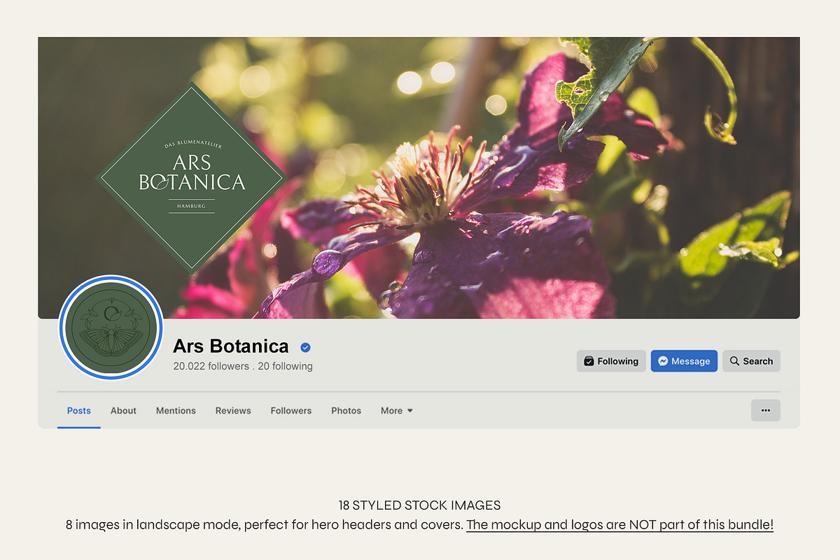 Garden Sunset | Photo Bundle, a Nature Photo by The Responsible Creatives (Photo 11 of 11)