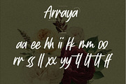 Arraya – Brush Script Font, a Handwritten Font by Gassstype (Thumbnail 7 of 8)