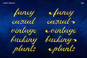 Rocha Swaty - Retro Script Font, a Script Font by Dhabee (Thumbnail 5 of 15)