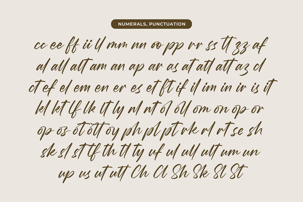 Wystine Esphelta Modern Brush Font, a Script Font by Letterena Studios Script (Photo 19 of 20)