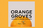 CITRUS GARDEN - vintage sans serif, a Sans Serif Font by Misha Sova (Thumbnail 3 of 11)