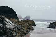 Salt and Sea Calligraphy Font, a Handwritten Font by Beck McCormick (Thumbnail 8 of 10)