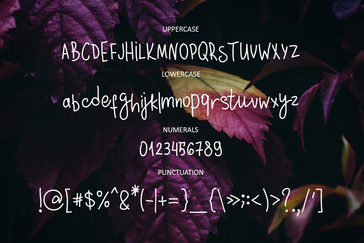 Sylvestre nature handwritten font preview 3