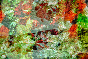 Double exposure green abstract image, an Abstract Photo by Manis recycle abstract (Thumbnail 2 of 2)