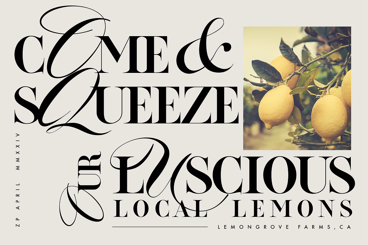 ZP APRIL - Luxury Hybrid Font, a Script Font by Zebra Press (Photo 4 of 13)