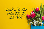 Mahligai Script, a Script Font by Olexstudio (Thumbnail 4 of 6)
