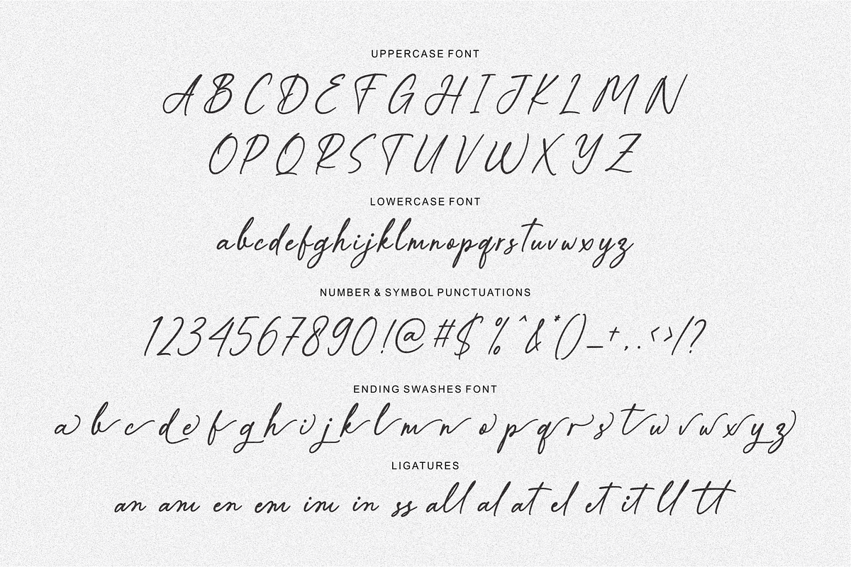 Railleu Mychelia, a Script Font by Shopifont.co (Photo 12 of 13)