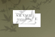Hemp/Marijuana Shadows & MockUp, a Mockup by Jeanina Vlad (Thumbnail 13 of 17)