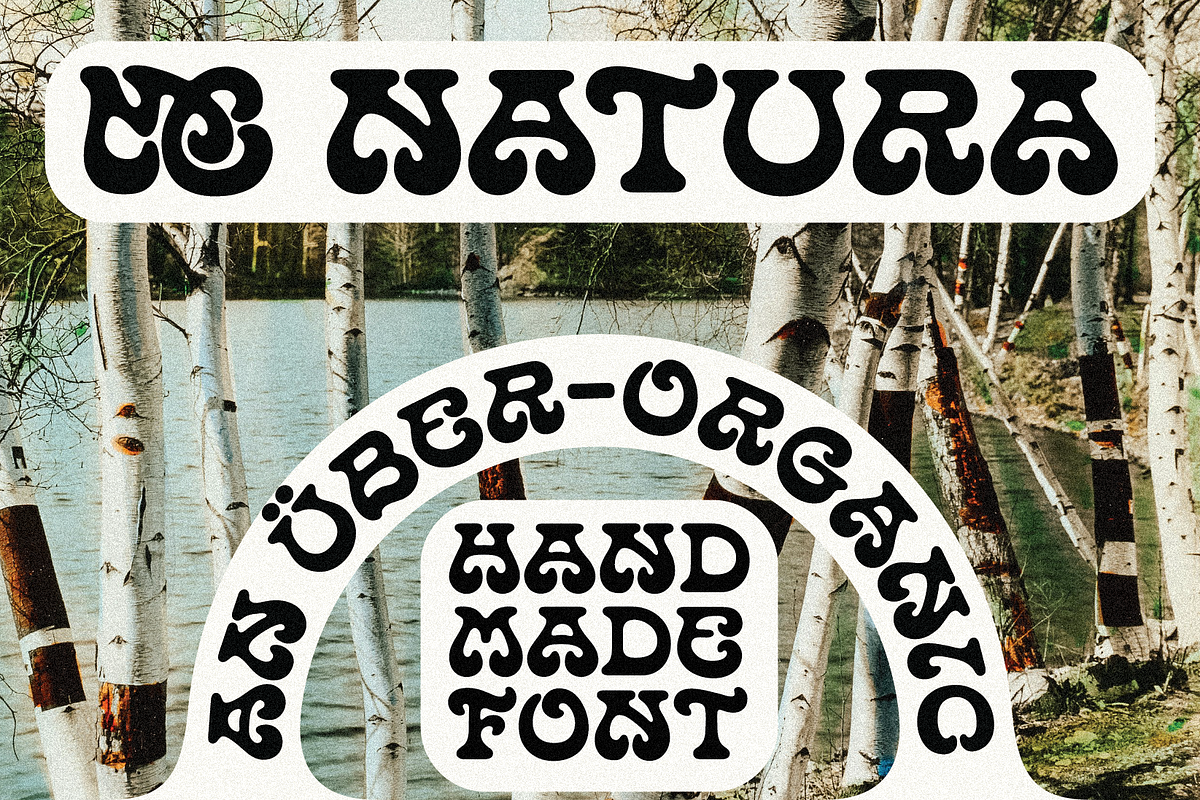 MC Natura, a Serif Font by McLetters (Photo 1 of 8)