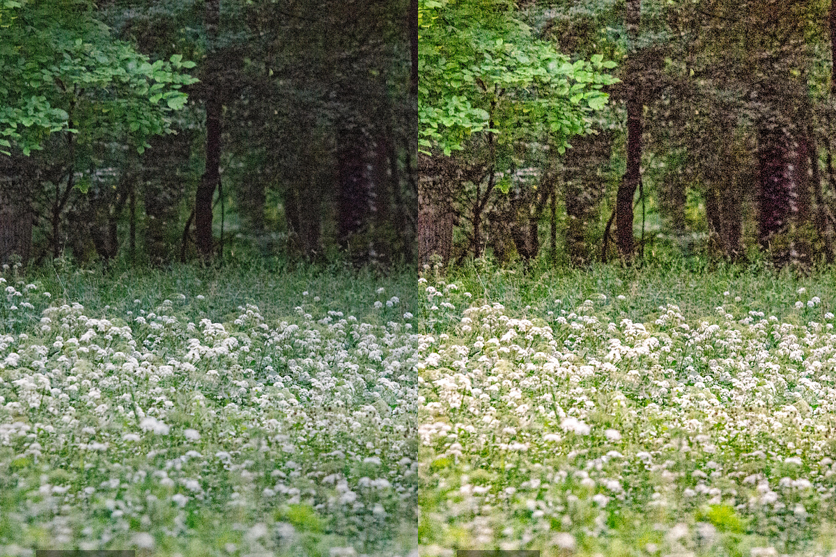 10 Meadows Lightroom Presets, a Preset Add-On by RamsaGraphi (Photo 7 of 10)